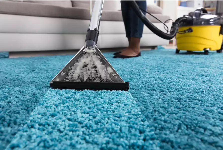 Extraction professionnelle sur tapis bleu